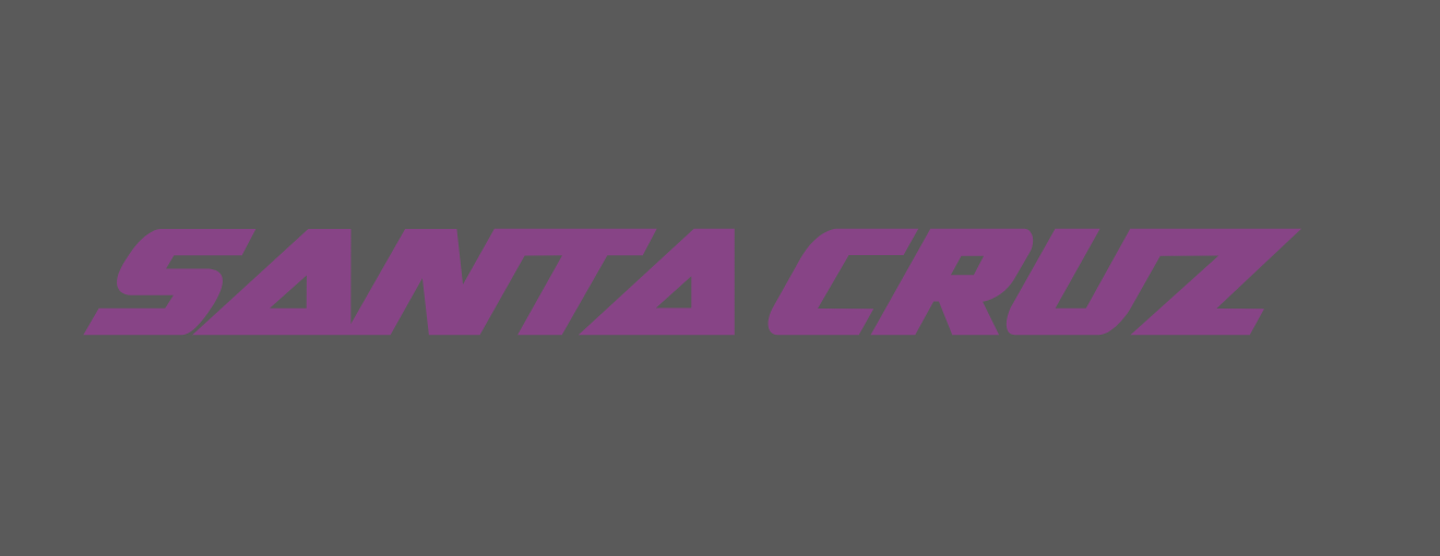 Santa Cruz Frame Lettering