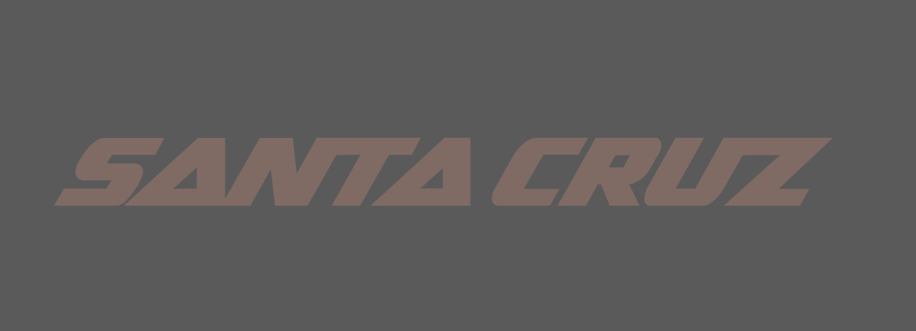 Santa Cruz Frame Lettering